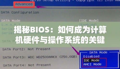 揭秘BIOS：如何成为计算机硬件与操作系统的关键桥梁