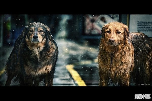 想在《狗的生存(DogSurvivalSimulator)里体验当狗的乐趣？快来和狗狗们一起狩猎玩耍吧！
