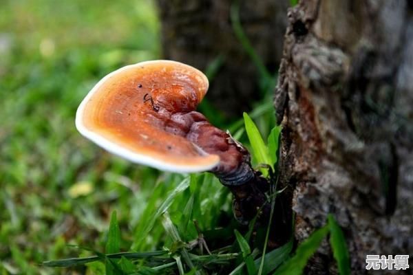 想不想修真灵药培育术2025年最新获取策略，全面解析仙草种植与养成秘籍！