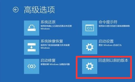 Win11自动升级如何规避？详细解析升级条件及应对方法