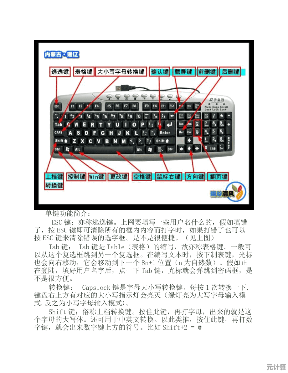 电脑键盘功能全面解析：从基础操作到高效使用技巧