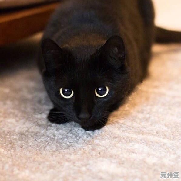 孙美琪谜案铜猫藏身2025：全息罪案重构与井底人真相揭秘