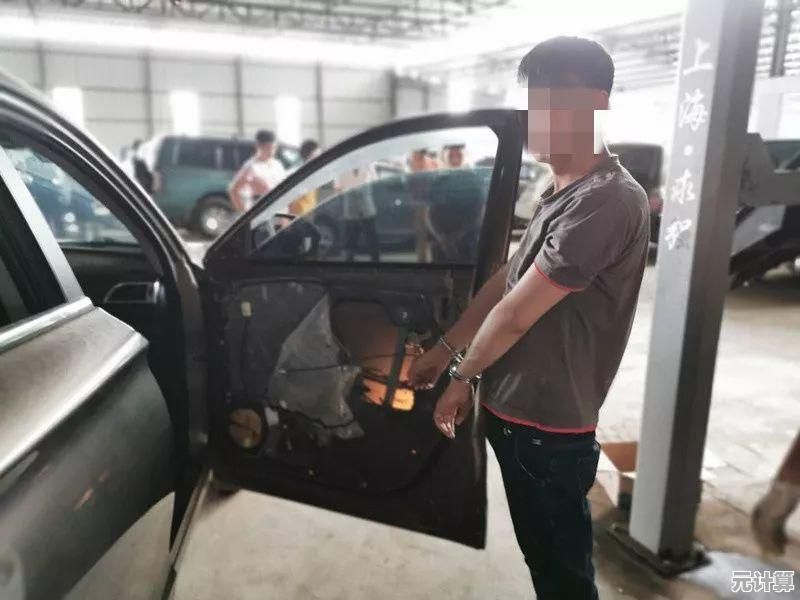 边境检察官正版"想考验你的侦查能力？你能识破所有可疑车辆吗？