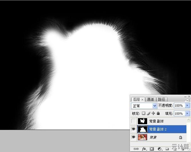 Photoshop抠图技巧大揭秘：轻松实现精准抠取与完美合成