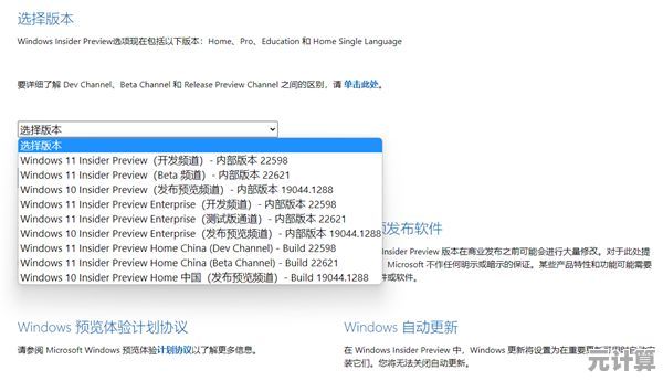 Windows 11兼容性解析：20H2版本能否直接升级至最新系统？