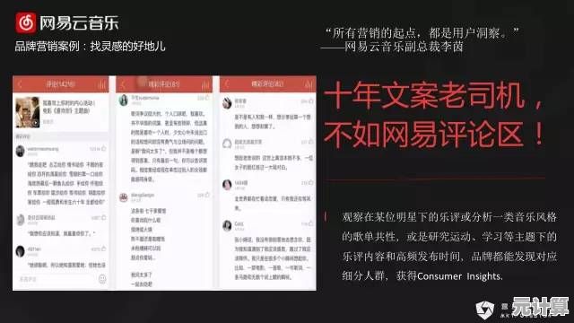双徐菜刀队2025最新战法配置，实战细节与高效操作技巧详解