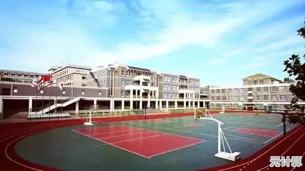探索桃金娘未来庆典2025版本，精彩活动与特色内容完整解析！