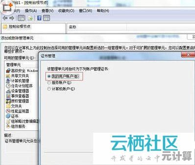 详解IE浏览器在2025年的下载安装方法及典型问题解决方案