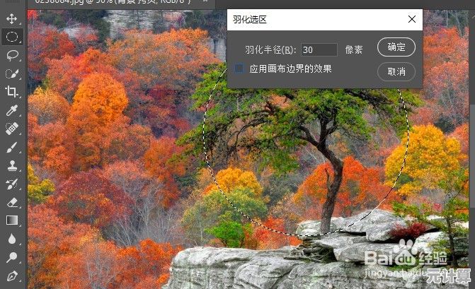 掌握Photoshop羽化快捷键，轻松实现专业级边缘柔化处理