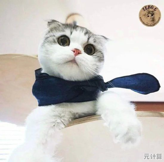 2025年最新猫咪女仆手游合集，治愈系猫娘陪伴冒险之旅