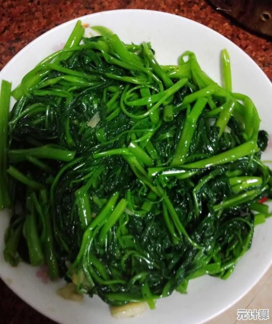 还在寻找独特模拟经营游戏？飞机大厨安卓版带你在万米高空解锁美味与飞行梦想！