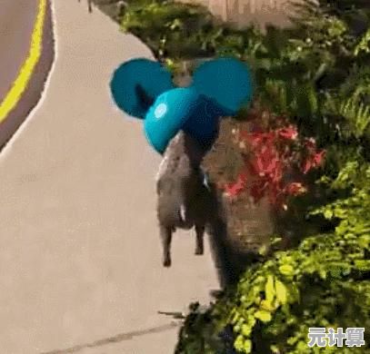 想要体验刺激的飘移快感？快来试试《聚焦漂移模拟器》吧！