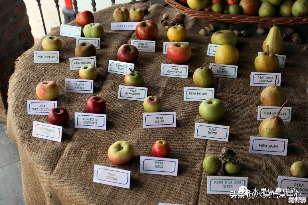苹果品种全知道：从产地特色到营养价值深度解读