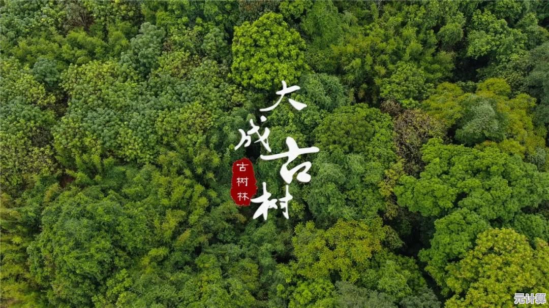 资源紧缺，僵尸围城？僵尸森林生存》考验你的战略与勇气！