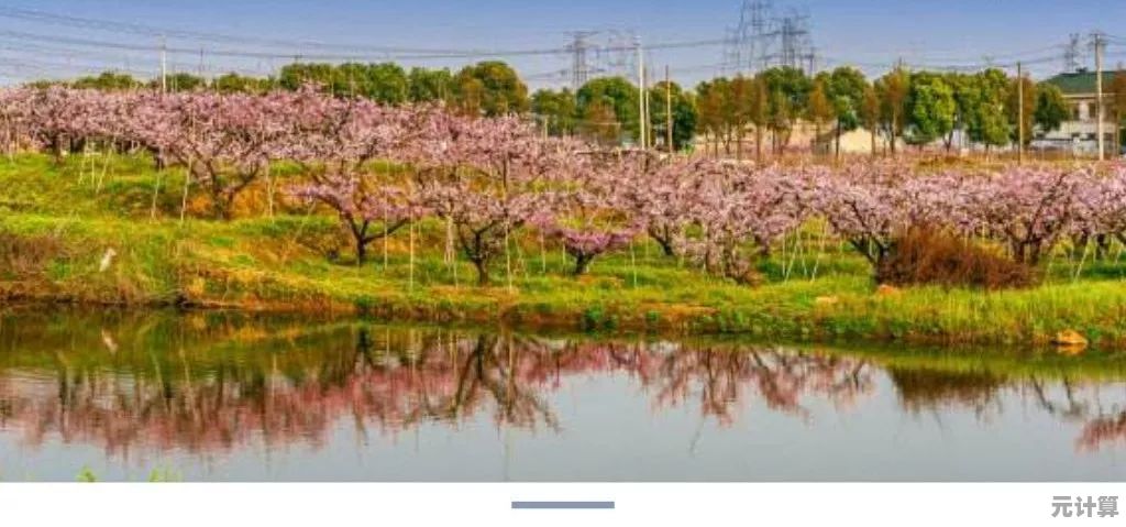 开放空间桃2025：沉浸式田园生活模拟，体验亲手栽培与无限创造的乐趣