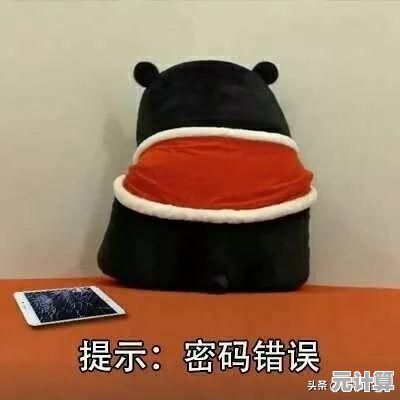 详解Steam手机令牌启用流程，有效提升账号安全保障机制