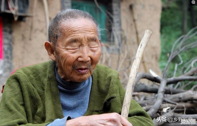 先生请出山2025开荒指南：零氪玩家全程无忧通关技巧分享