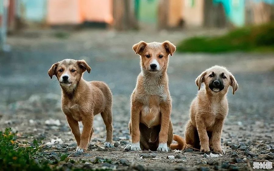 月灵与爱犬同步召唤：2025年虚拟现实羁绊系统全解析