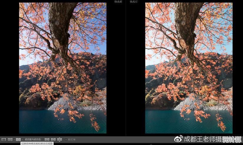 Win11键盘顿号输入问题解决方案及使用教程