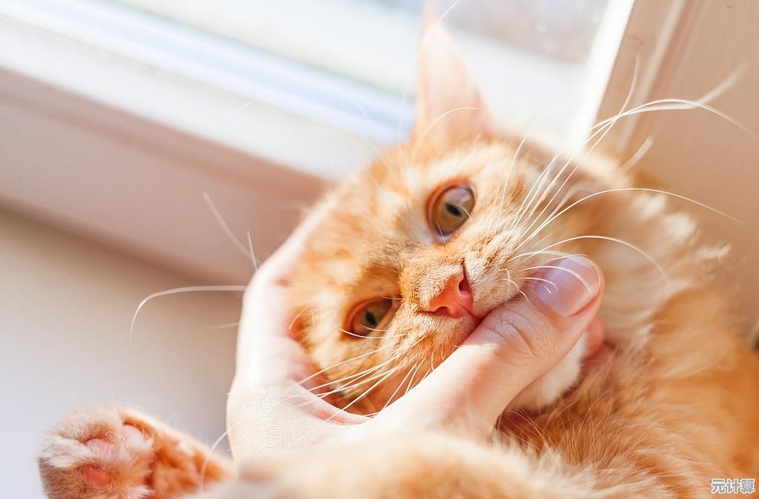 难道你还没玩过《怪物射击》和小伙伴一起拯救Q萌猫咪吧！
