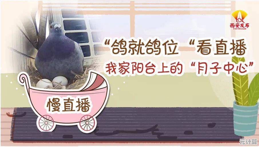 想体验独特的孵蛋乐趣？大叔鸡蛋"你还没玩过？