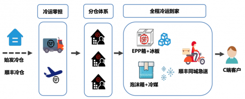 基因强化快递员：2025年末日生存与高效配送组合方案