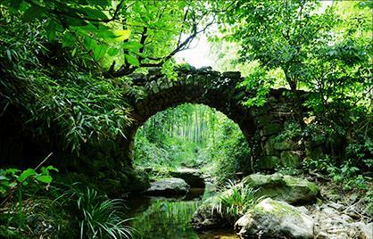 想建造基地抵御僵尸？步行僵尸2中文版》已支持中文，还不快来试试？