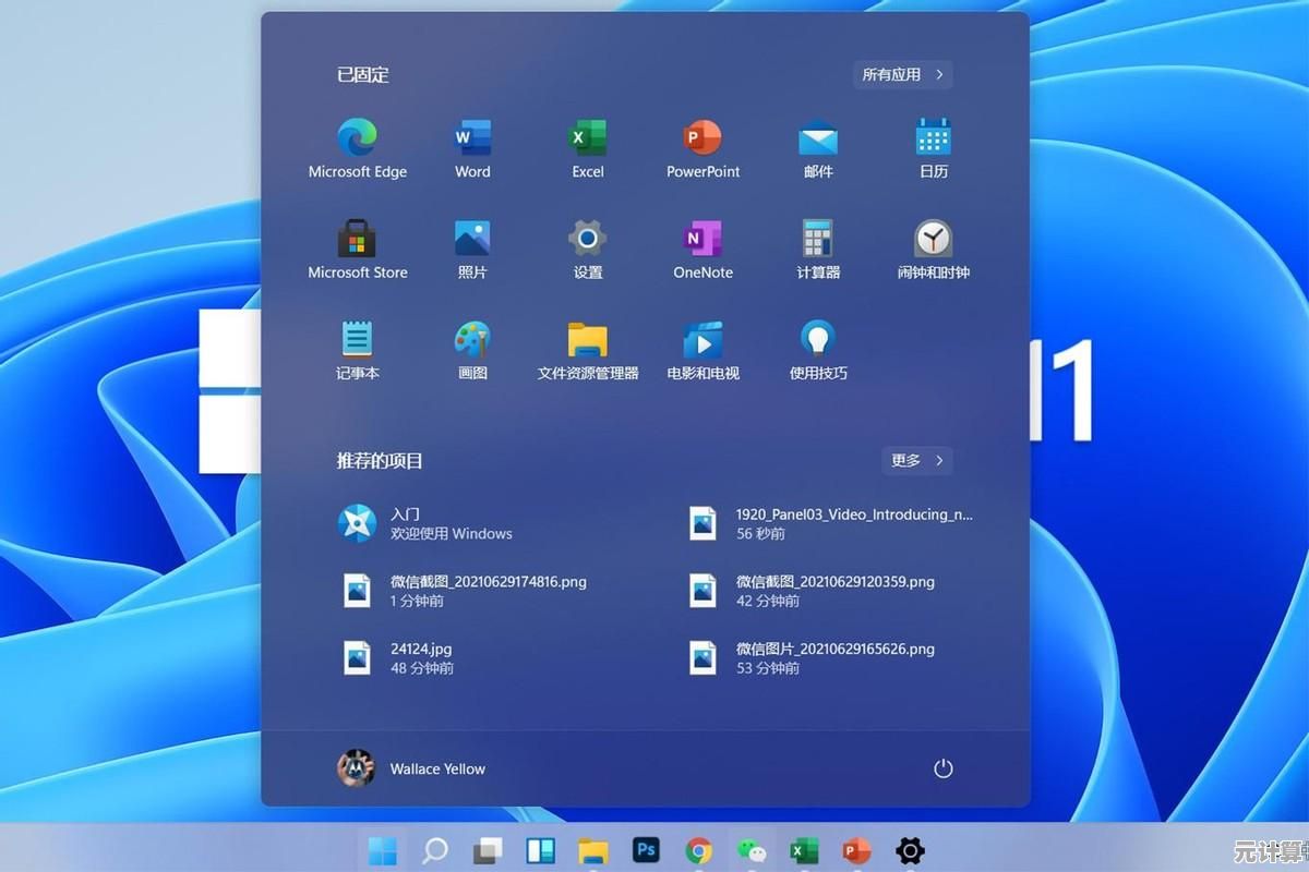 如何准确查询Win11正式版版本号？掌握系统更新动态
