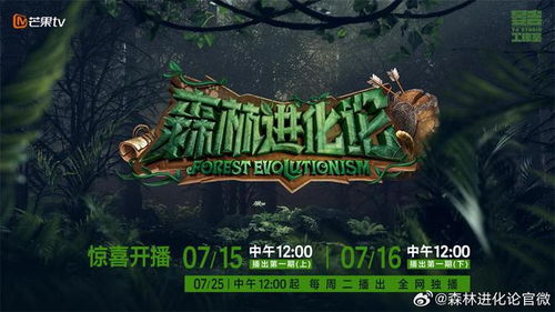 《我们仨》你敢挑战森林深处的20个高难关卡吗？