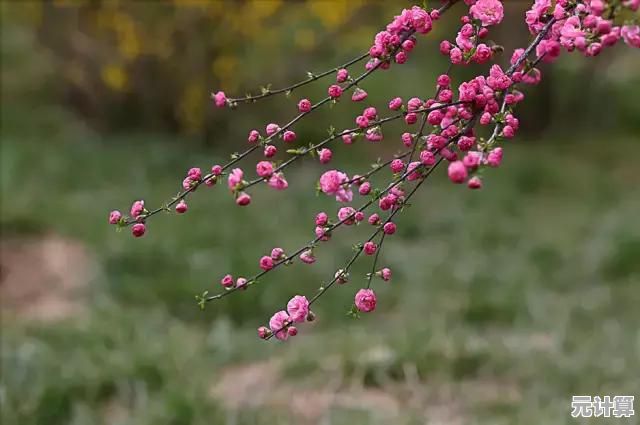 解锁浪漫故事与心动时刻，盛唐烟雨手游》你还没玩过？