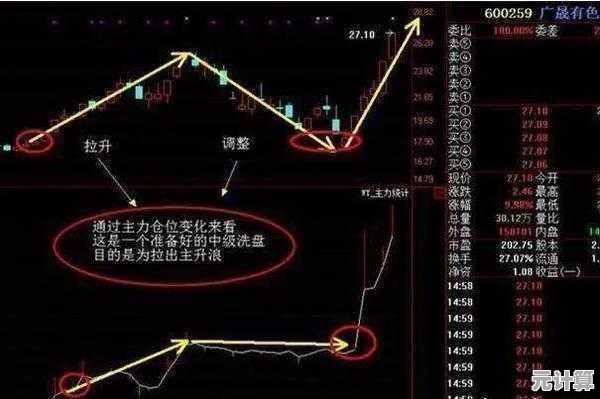 小鱼教您：PE的含义与实用解析