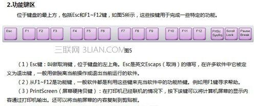 电脑键盘功能全面解析：从基础操作到高效使用技巧
