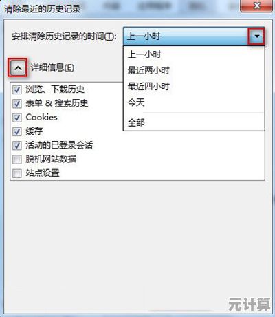 全面掌握浏览器缓存清除技巧，提升上网效率与隐私保护