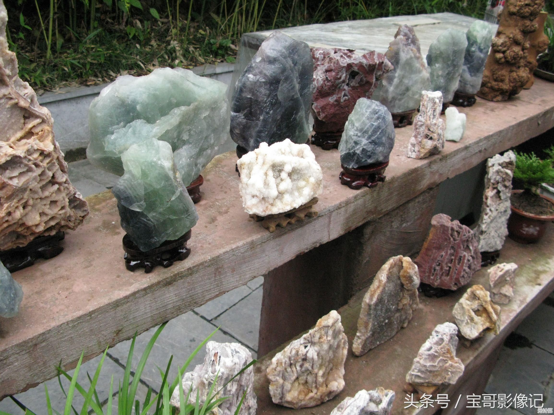 植物大战僵尸原版最新赚钱方法2025年更新版实战指南