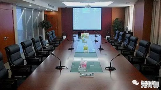 高品质音频解决方案：会议室音响设备如何显著提升会议效率