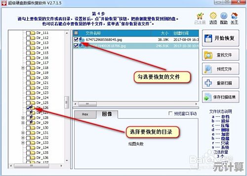 掌握硬盘数据恢复技巧：免费软件操作步骤详细解析
