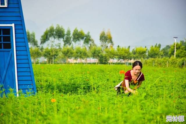 哪里能边种田边享受悠闲时光？欢迎来我家"还不够吸引你吗？