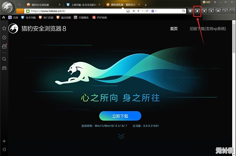 猎豹浏览器带来极致上网体验，高效与优雅并存，畅游网络更轻松
