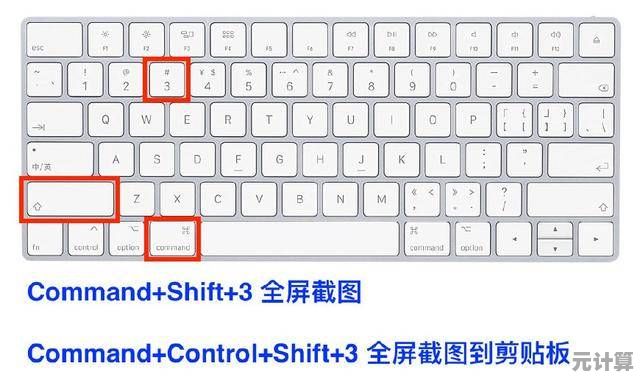 Mac截图快捷键大全，小鱼手把手教您快速掌握实用技能