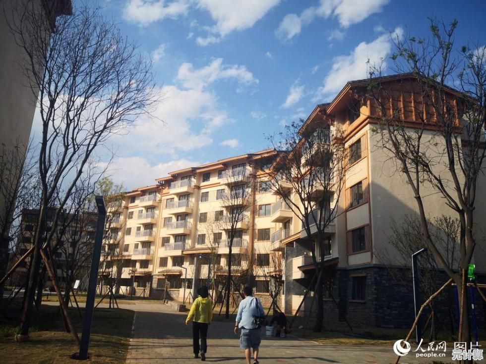 专业相机天梯评测：细致对比主流品牌性能，为您的摄影之选提供清晰指南