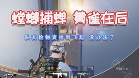 沉浸式体验和平精英舞狮模式：2025最新战术突破对手防线