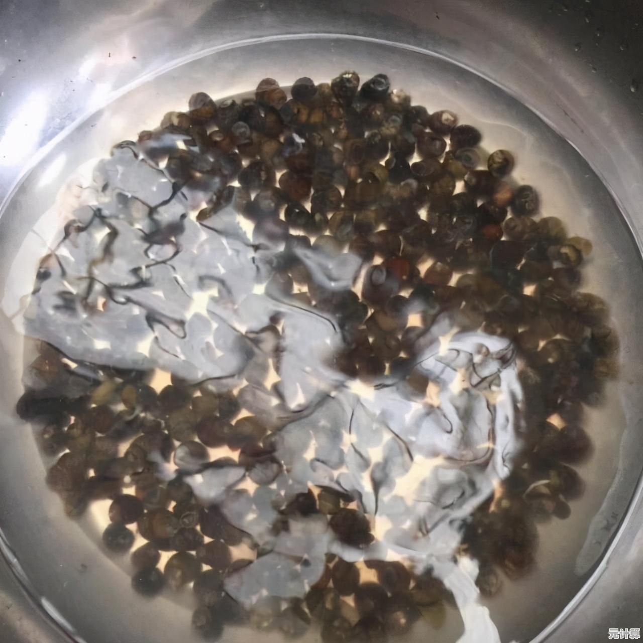 需要轻松一刻？打屁股2》的自定义打屁股体验不来试试？