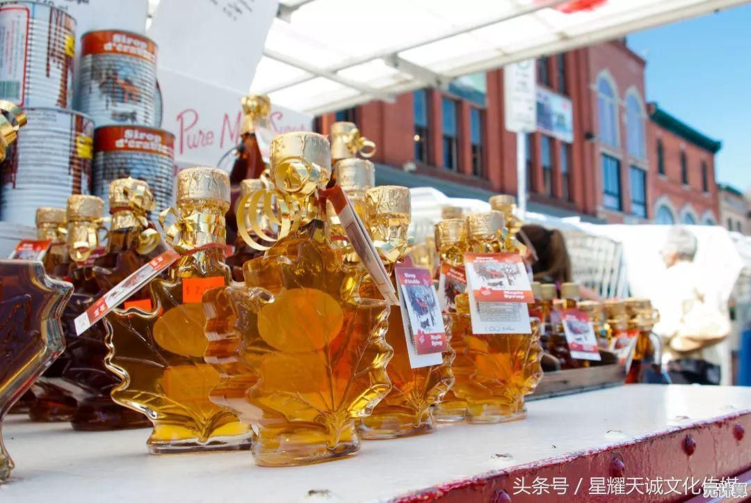 《极限国度》想要体验心跳加速的极限运动，这款游戏你玩过了吗？