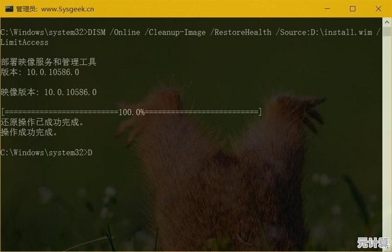 电脑高手必备：Windows实用命令大全及使用技巧