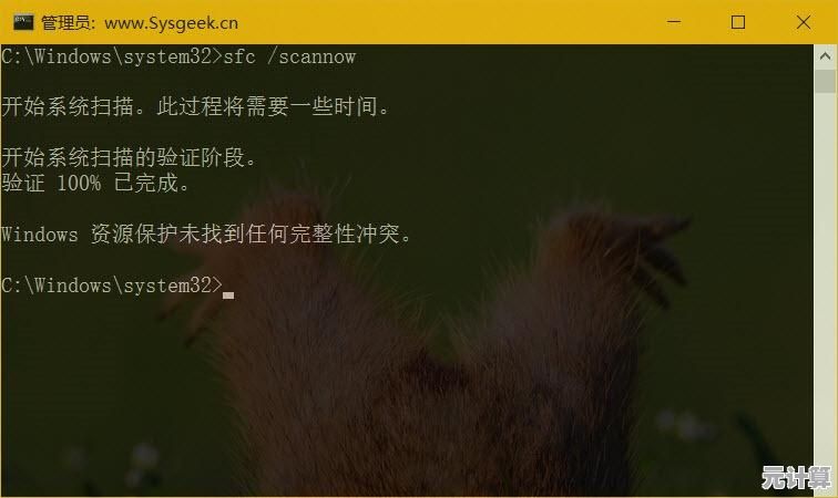 电脑高手必备：Windows实用命令大全及使用技巧