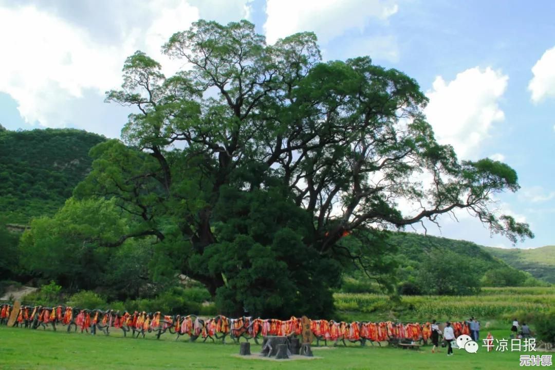 最新发布！问道2025首饰转换条件与步骤完整说明