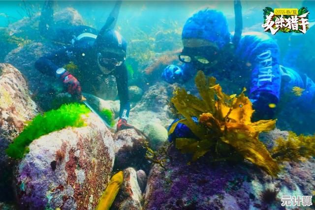 2025年奥丘树海之下纵海猎师全新升级，沉浸式海洋狩猎之旅震撼开启