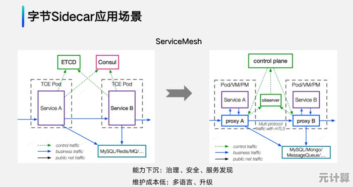 深入探讨type概念：从基础定义到实际应用场景