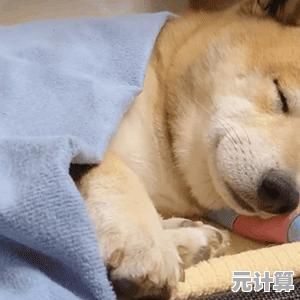 还在寻找色彩鲜明的治愈系游戏？我的萌宠进化日记》让你和猫猫共度温馨假期！