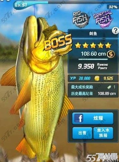 想看看你能在《钓鱼高手》中钓到多少高分数珍稀鱼吗？